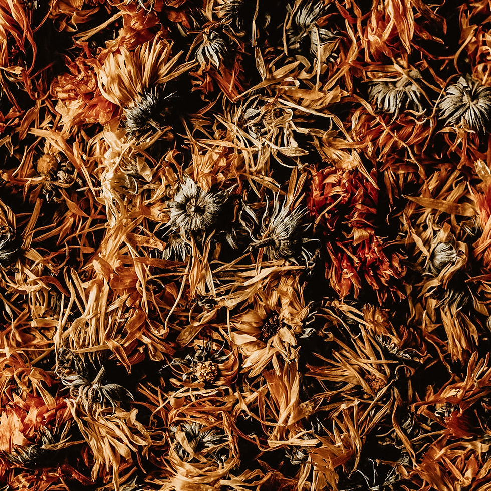 Thumbnail: Loose Herbs for Tea & Spells