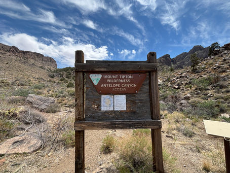 Join Us: Volunteer Opportunities in Dolan Springs