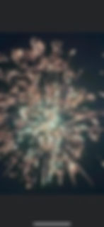 78A4DDDF-B999-4DC6-B28D-02EDC2ADA1C3