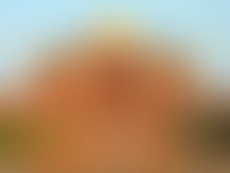 REMEMBERING HAMIDA BANU BEGUM