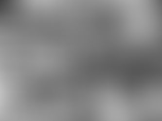 History of the Congress