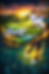 Swing-Shot Gaming SplashPage.png
