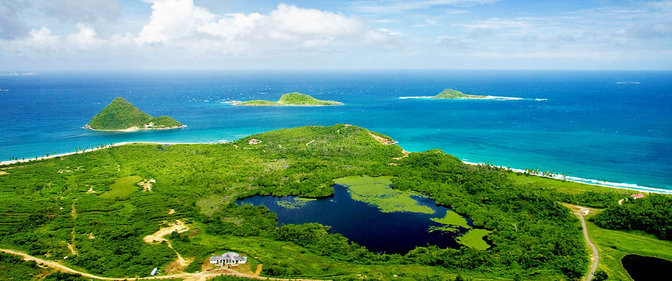 Landscape Carribean.jpg