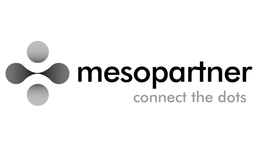 Mesopartner Logo