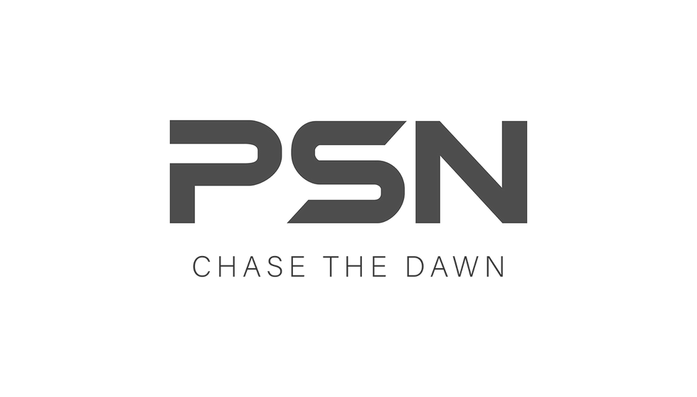 PSN Logo