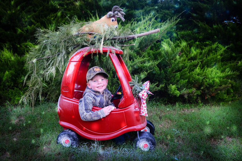 CHRISTMAS MINI SESSIONS