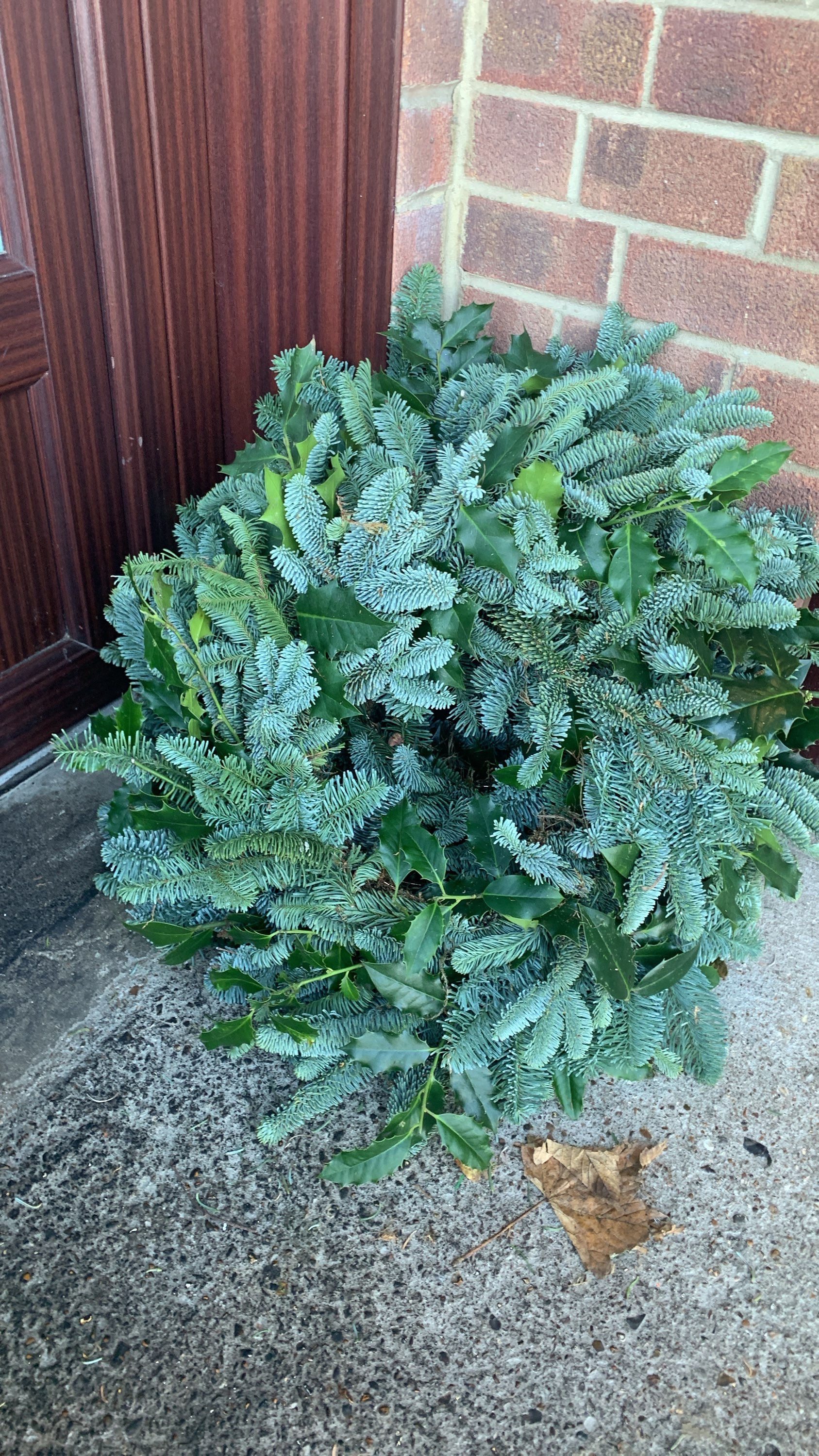 Plain Pine & Holly Wreath 