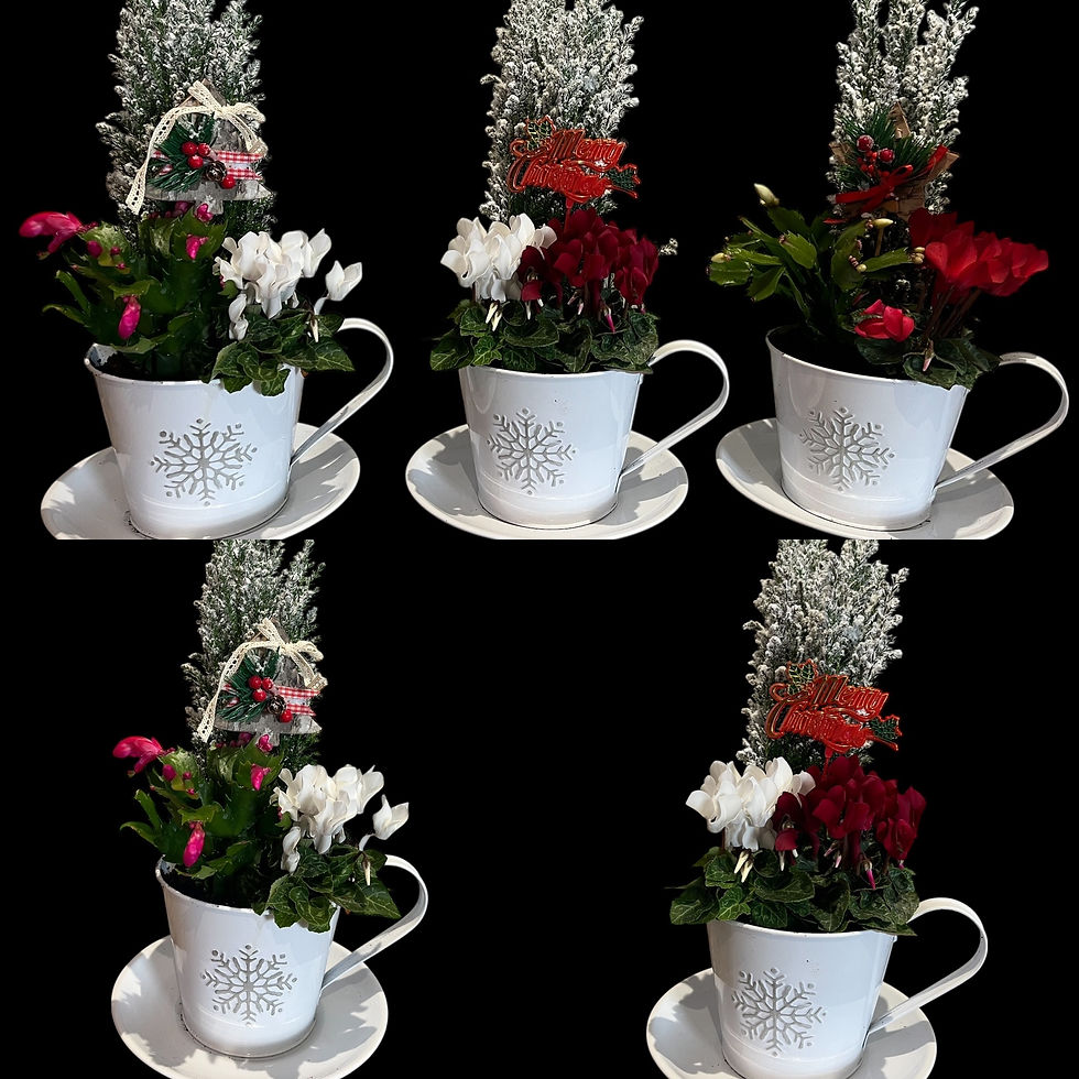 Thumbnail: Christmas Cup of Cheer 