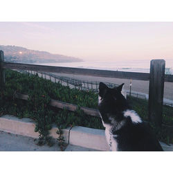 quality time with molly watching the waves & the sunrise #motherhood