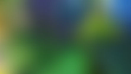 האביב כבר כאן, זה הזמן לתכנן יחדיו את גינת החלומות שלכם !