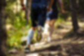 AdobeStock_120150916.jpeg