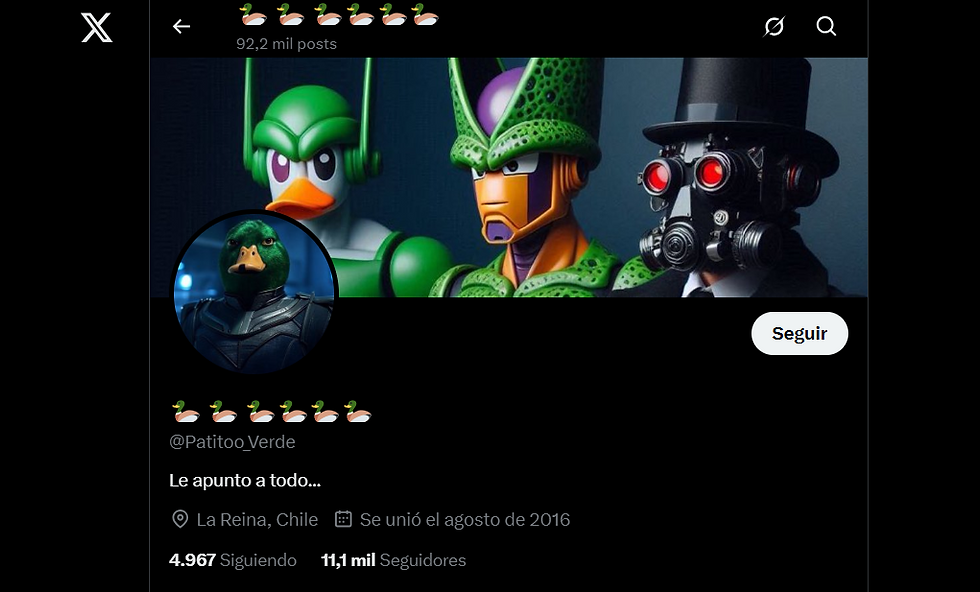 Perfil de "Patitoo_verde" en la plataforma X (ex Twitter)