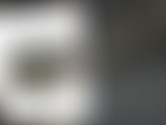 ÁREAS VERDES FANTASMAS: AÑOS DE COBRO POR ESPACIOS EN TOTAL ABANDONO