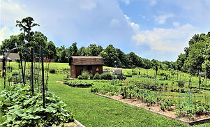 Garden.jpg