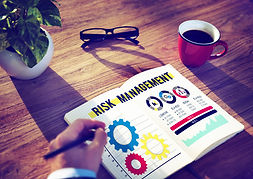 Risk assessment and management handled by Ireland's leading security consultants