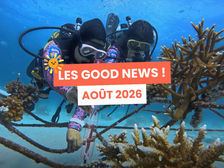 Les Good News : l’actualité qui fait du bien ! ☀️