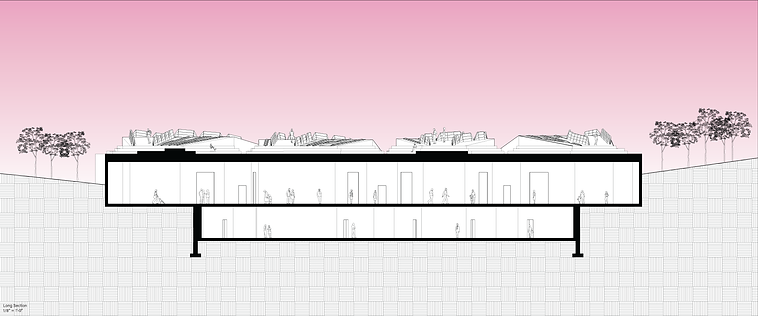 long section 36x15.png