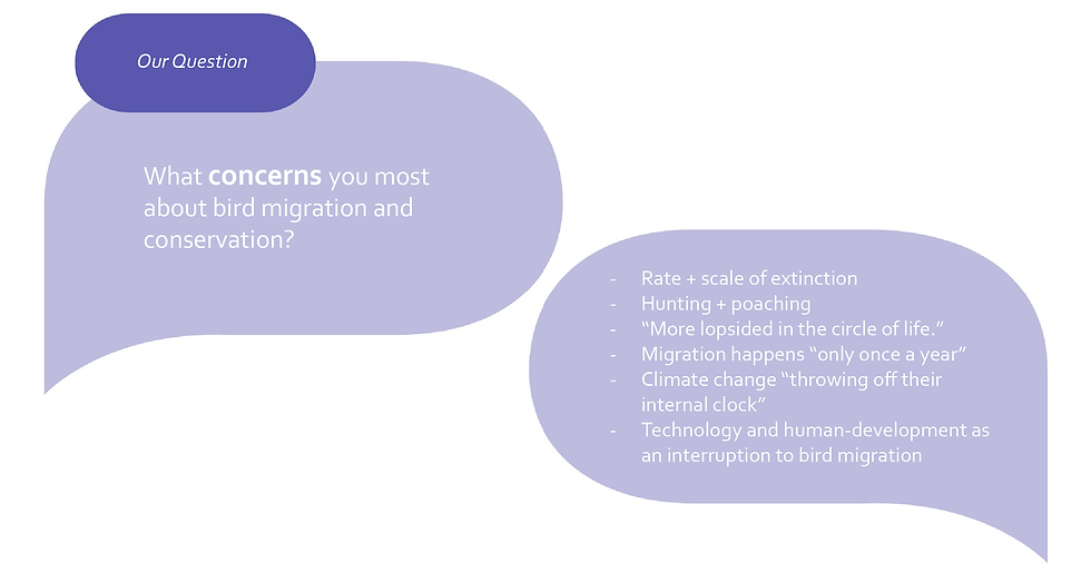 Interview Question 2