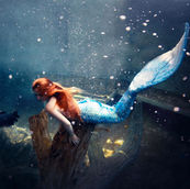 credit Florine Jonnekin Photography 05b.jpg