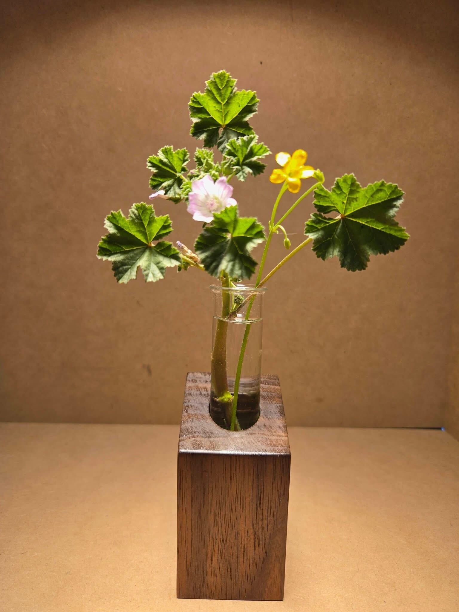 The Rooted Vessel