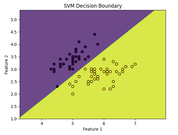 SVM in python