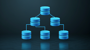 Hierarchical Database Management System (HDMS): A Complete Guide