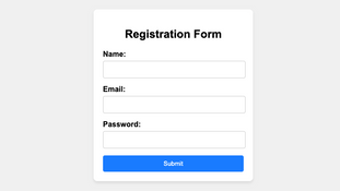 A form built with JavaScript HTML and CSS