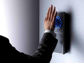 Biometric Palm Recognition