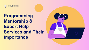 programming mentorship & expert help services and  their importance