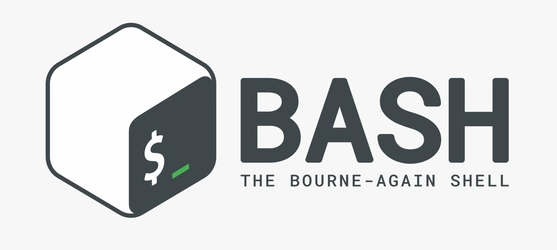 bash logo - colabcodes