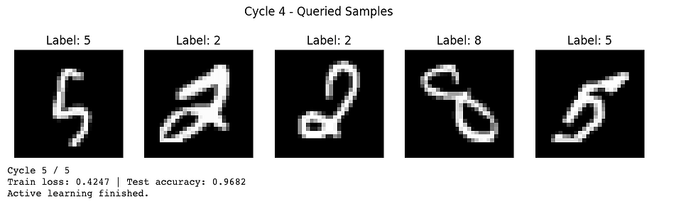 active learning in PyTorch python cycle 4 - colabcodes