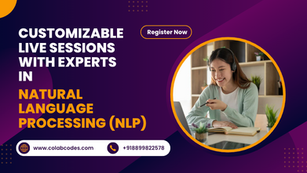 Customizable Live Sessions with experts in Natural Language Processing - NLP