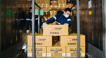 DINGF-0341_edited.png