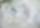 D0165_edited.png