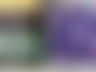 The Butterfly Collector - screenprinted furnishing fabric by Patrick Moriarty