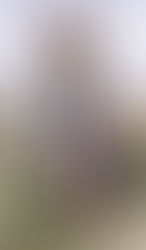 Metaética: Reconstruindo a Ética Argumentativa Hoppeana