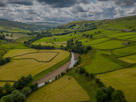 video production statistics