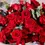 Thumbnail: Cherry Blossom