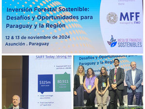 Sustainable Forest Investment: Unlocking Opportunities for Paraguay and the Region