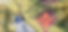 Stylus2525.PNG