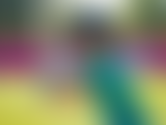 Top Baseball Training Programs for Kids