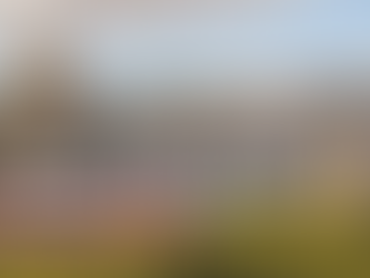 ¿Español o Castellano?