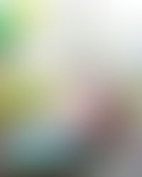 September Book Of The Month | The Secret River | Kate Grenville