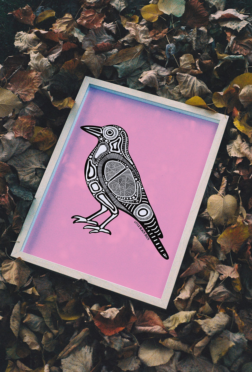 Thumbnail: Magpie 'Garru' Artwork