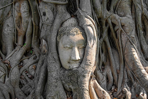 kmarius-buddha-5158650_1280.jpg