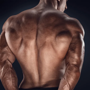 What Muscles Make Up the Back