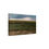 Thumbnail: Stormy Field Canvas