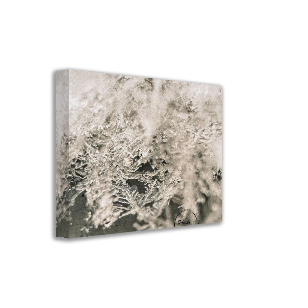 Snow Flakes Canvas