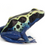 Thumbnail: Yellow Sipaliwini Dart Frog