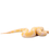 Thumbnail: Baby Pastel Candino Ball Python